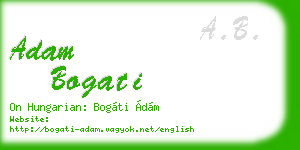 adam bogati business card